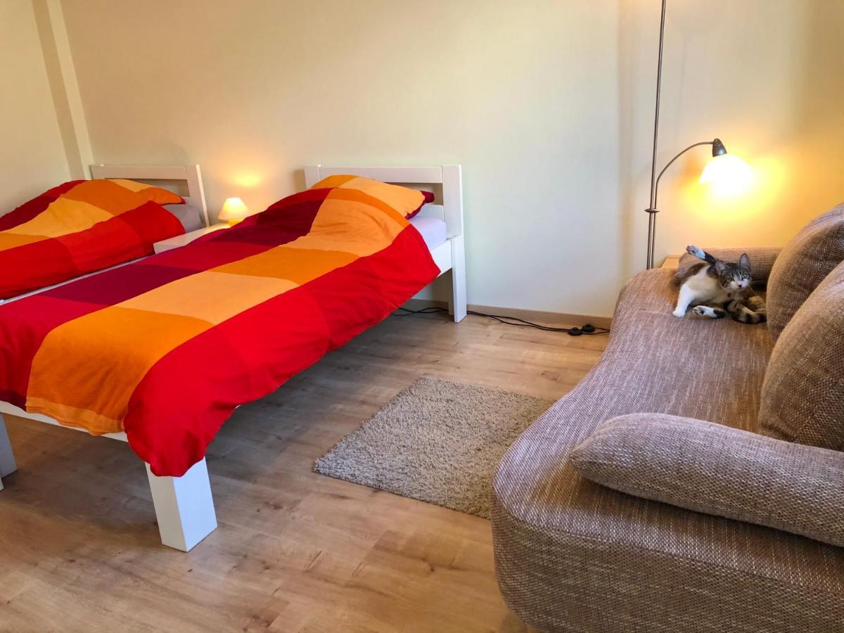 Die Senfbude - Wunderschoene Apartments Fuer 4 Personen Mit Terrasse & Stellplatz Leipzig Exterior photo
